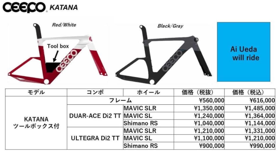 CEEPO KATANA-R フレームセット Mサイズ ブラック/グレー