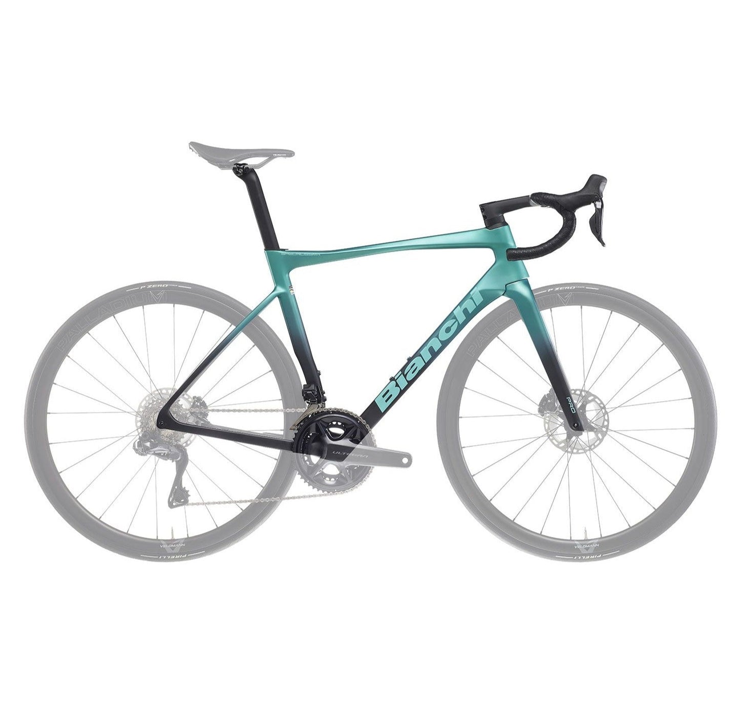 Bianchi SPECIALISSIMA PRO フレームセット