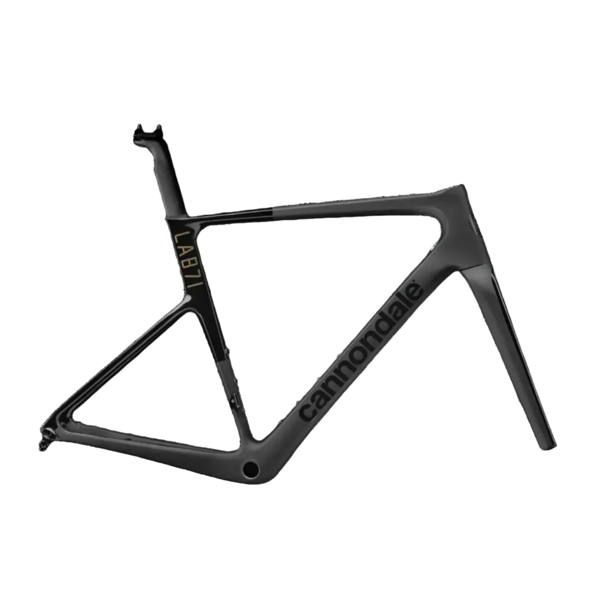 Cannondale 700 U LAB71 S6 EVO A/M Frm