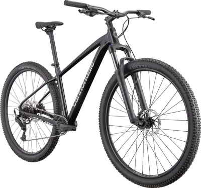 Cannondale Trail 2【店頭受取限定】