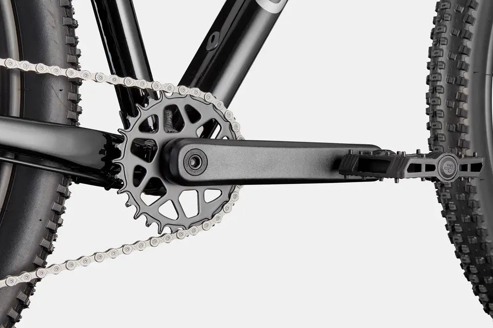 Cannondale Trail 2【店頭受取限定】